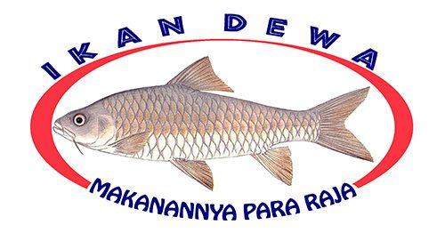 ikan para raja