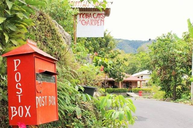 toba cats garden
