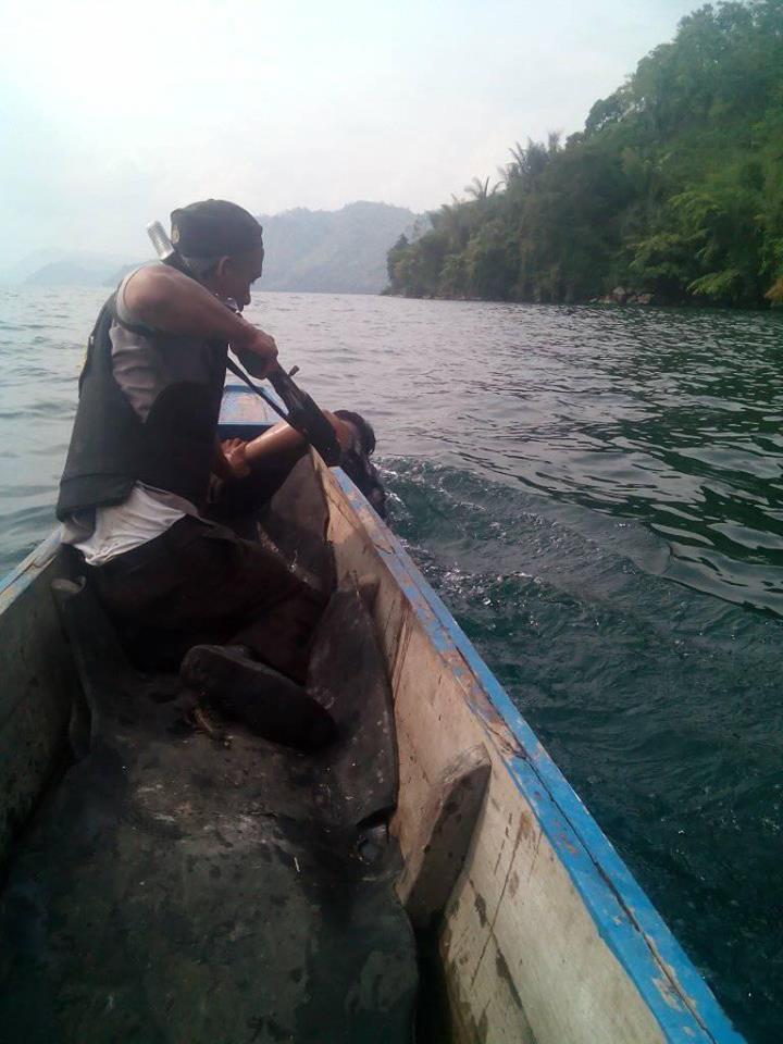 perampok toke padi di porsea