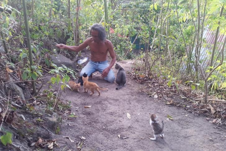 toba cats garden