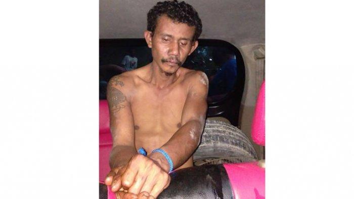 perampok toke padi di porsea