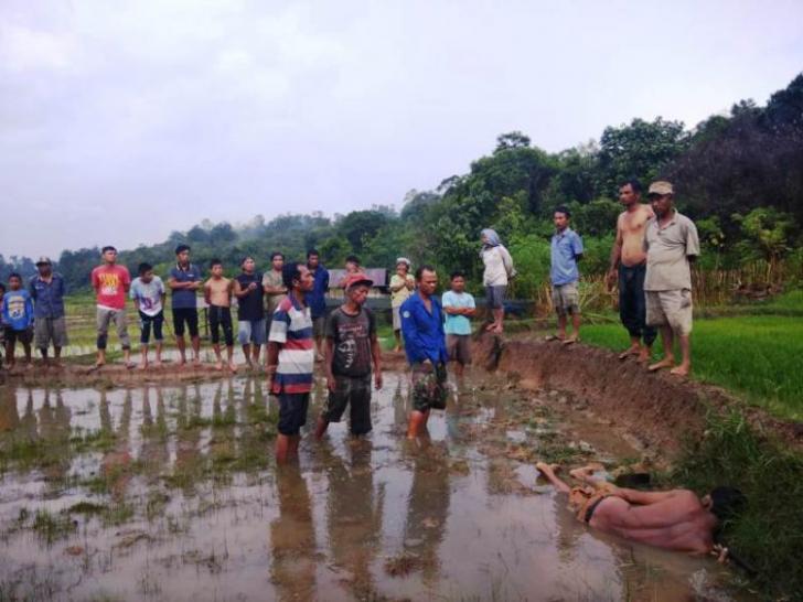 Jasad herbin tambunan disambar petir