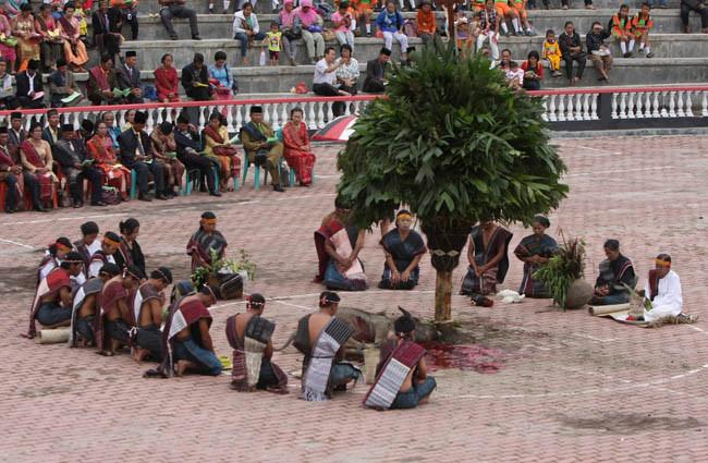 upacara mangalat horbo