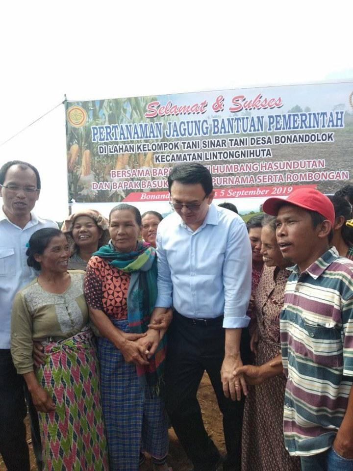 ahok