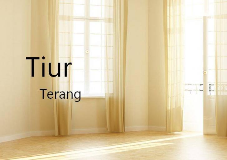 tiur