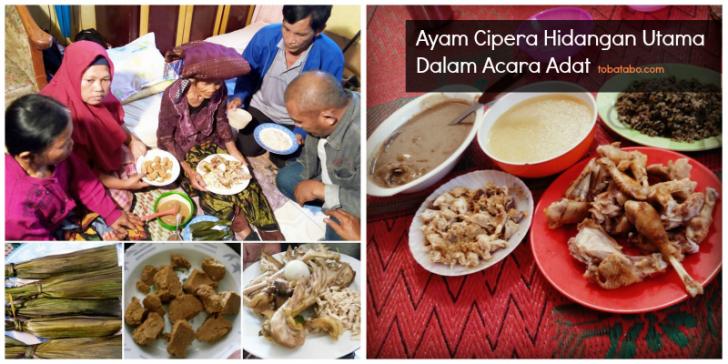 ayam cipera dalam adat batak karo