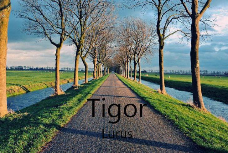 tigor