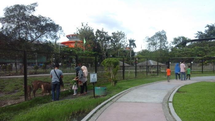 kebun raya taman rusa usu