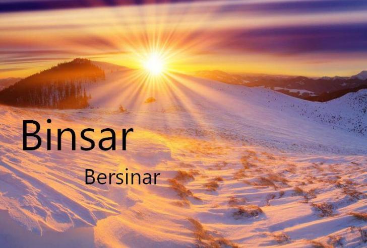 binsar biccar