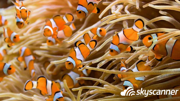 Manado via Skyscanner