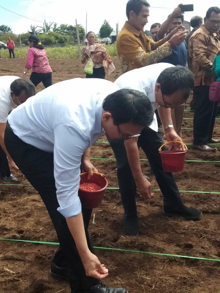 ahok