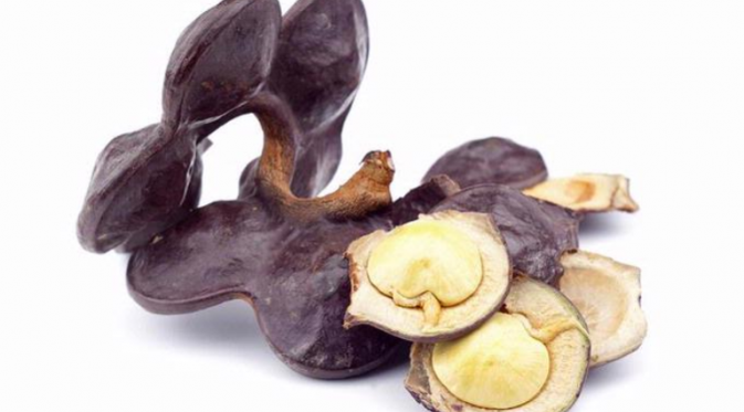 pohon joring, jering atau jengkol