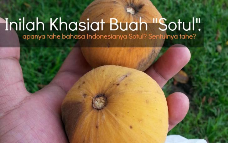 Kabar Gembira Buat Kamu! Kini Sotul-pun Ada Khasiatnya